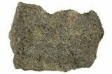 Polished Diogenite Meteorite ( g) Slice - NWA #375661-1